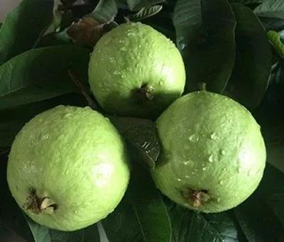 WeChat 圖片_20210421105313