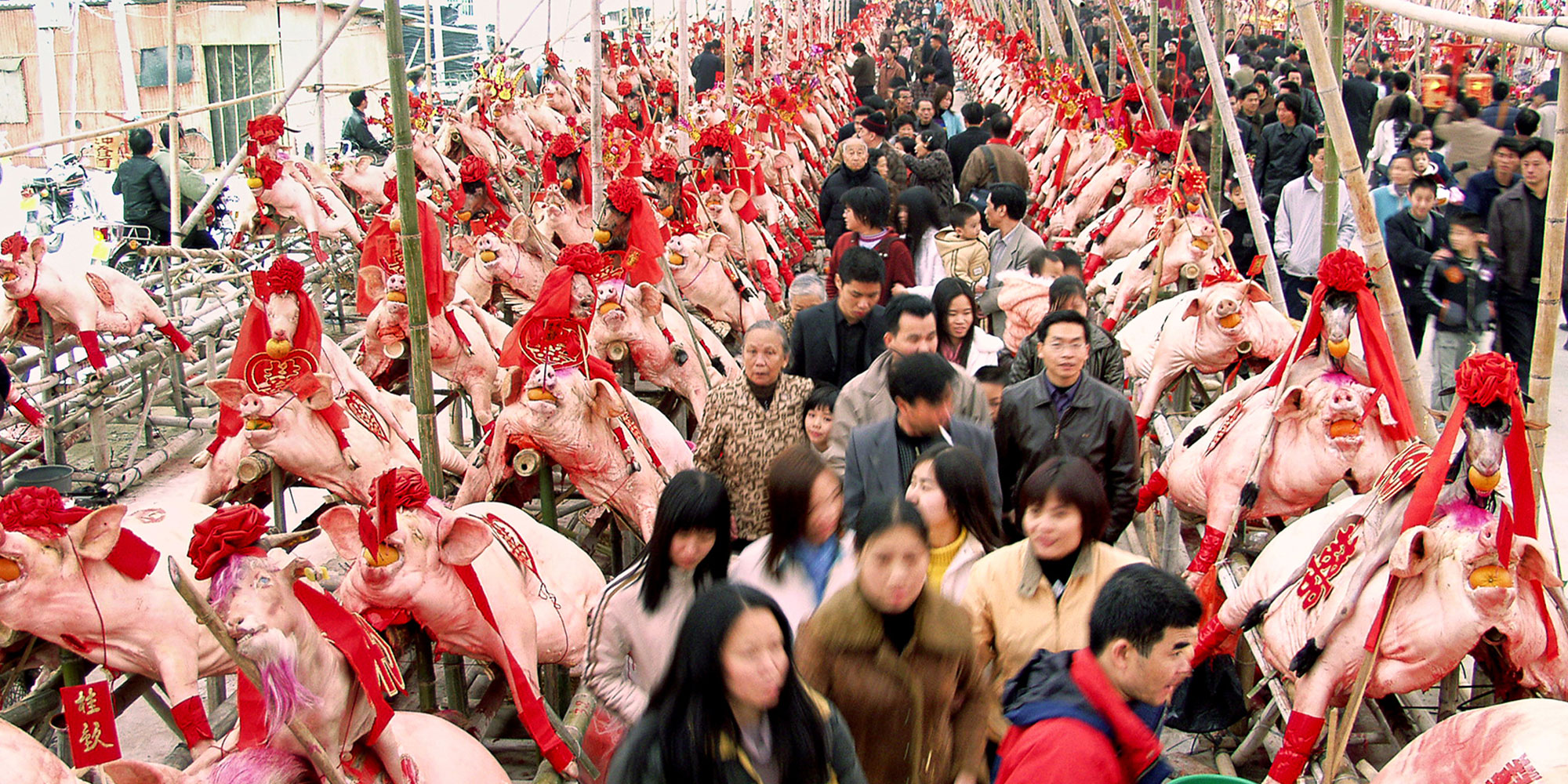 潮州市 元宵賽大豬習俗