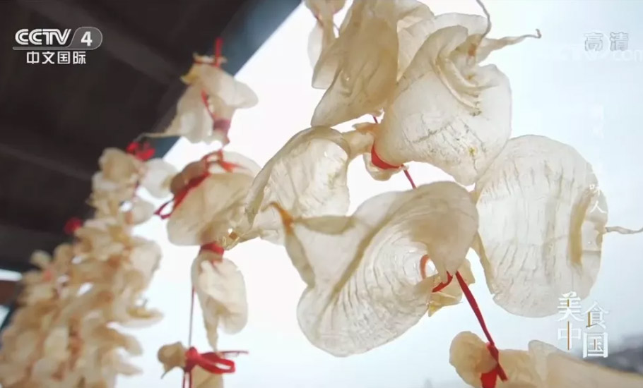 【視頻】“潮州”又上央視 這次關於一個肚