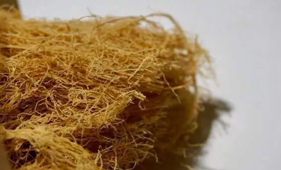 九毛膏——汕尾人的最愛