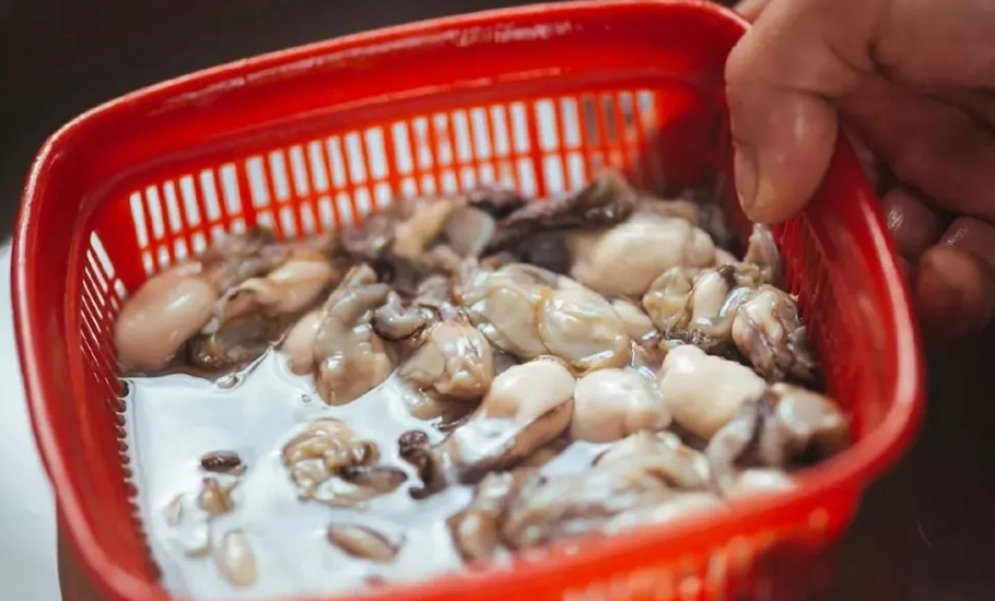 在潮汕，有一個被生蠔堆滿的小鎮！