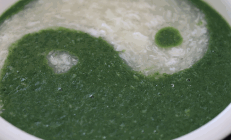 《粵菜師傅·四海同享——