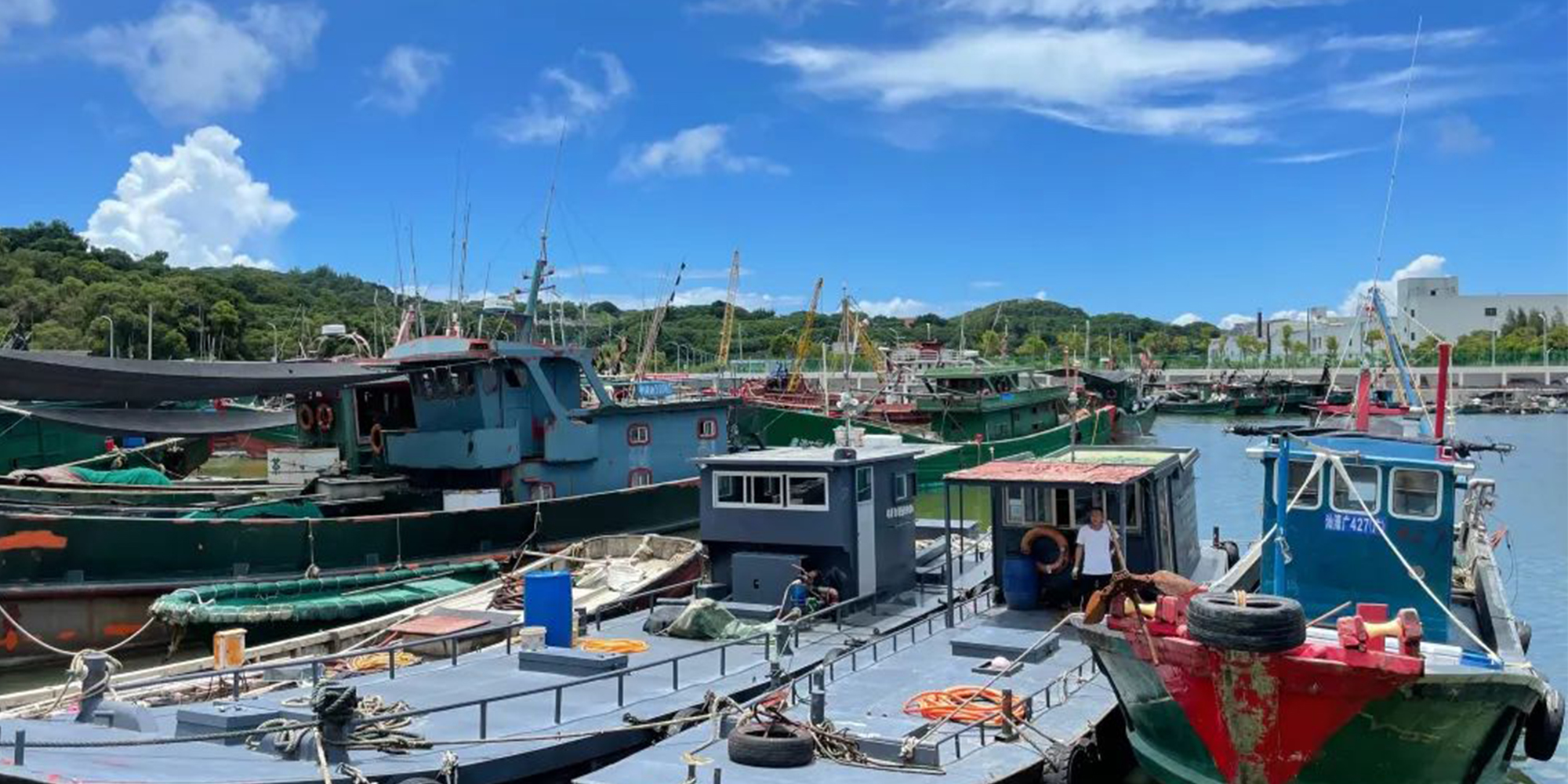 開漁啦！你的海鮮大餐正在配送中！又鮮又雅的海鮮怎麽挑，快來學習下！