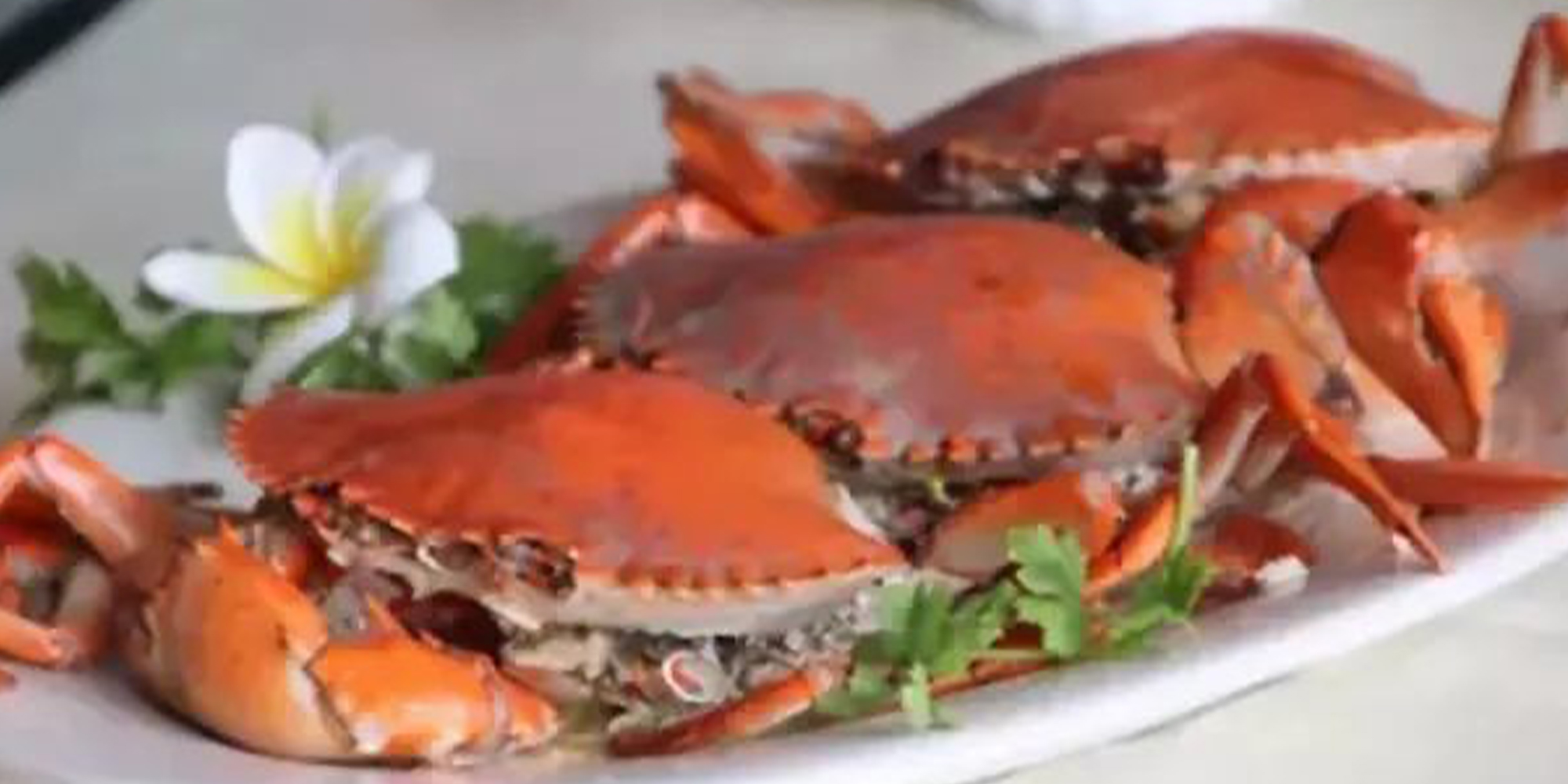 汕頭這個地方小吃很出名，有些其他地方吃不到，你吃過多少種？