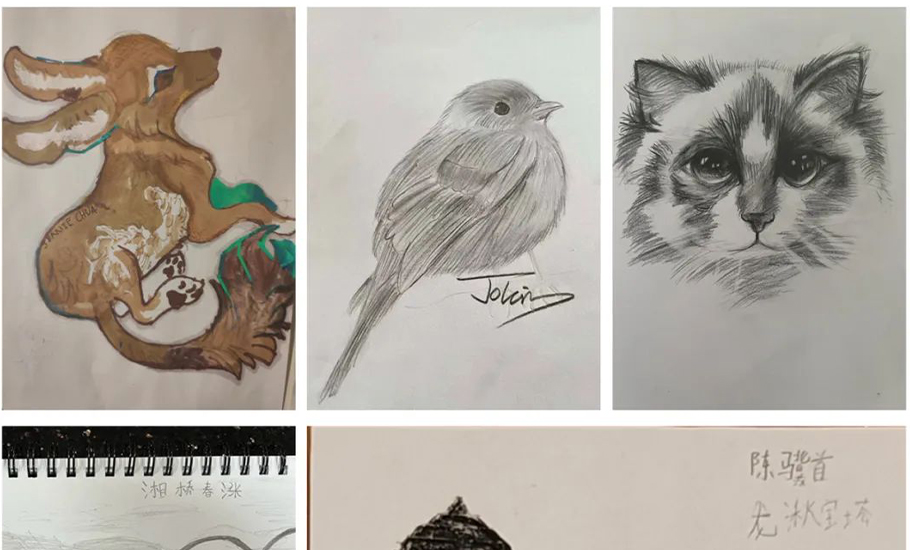 饒平縣大灣區招商推介會暨廣東省饒平商會第三屆理監事會就職大會隆重舉行