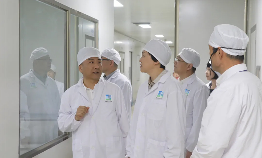 中央統戰部副部長、國僑辦主任陳旭一行蒞臨洪江游主席企業調研