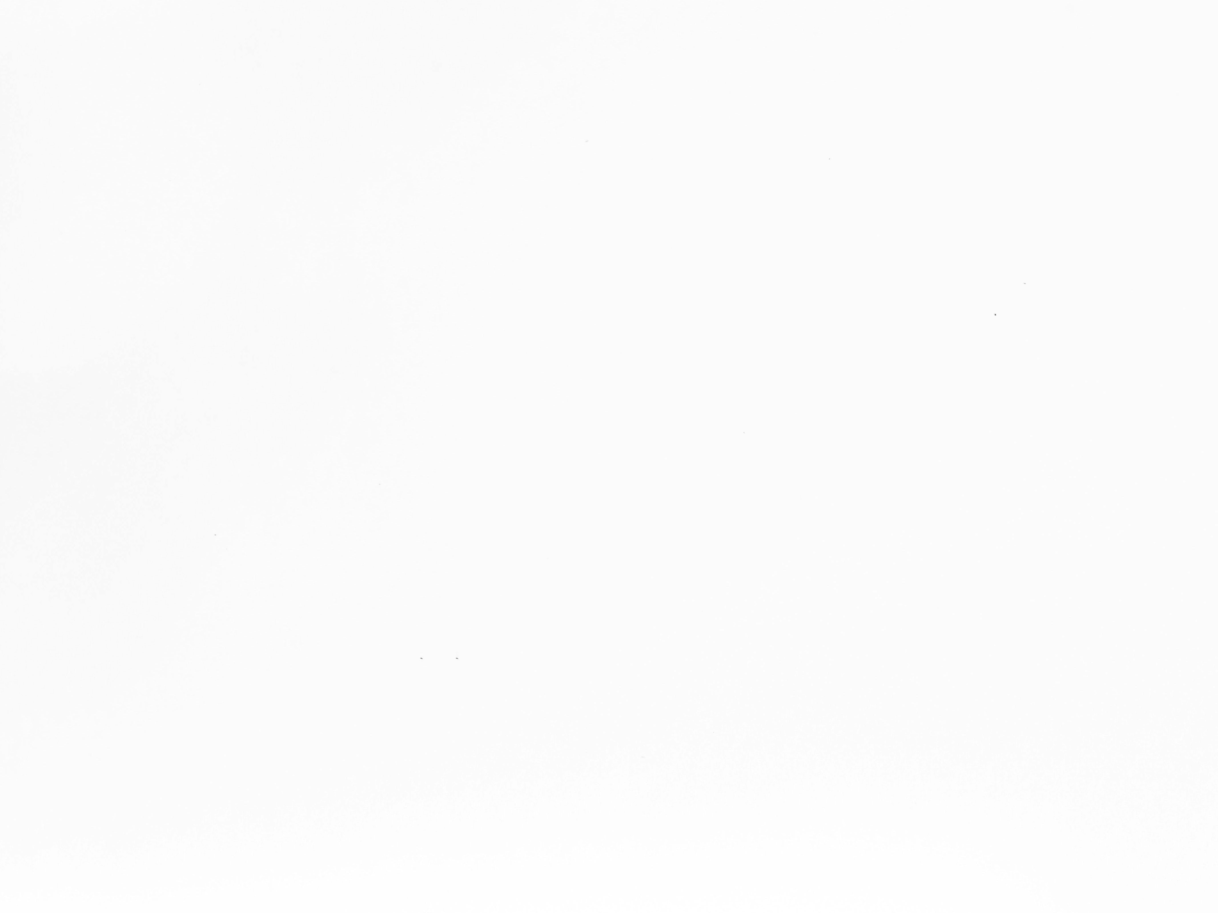 揭陽海外聯誼會