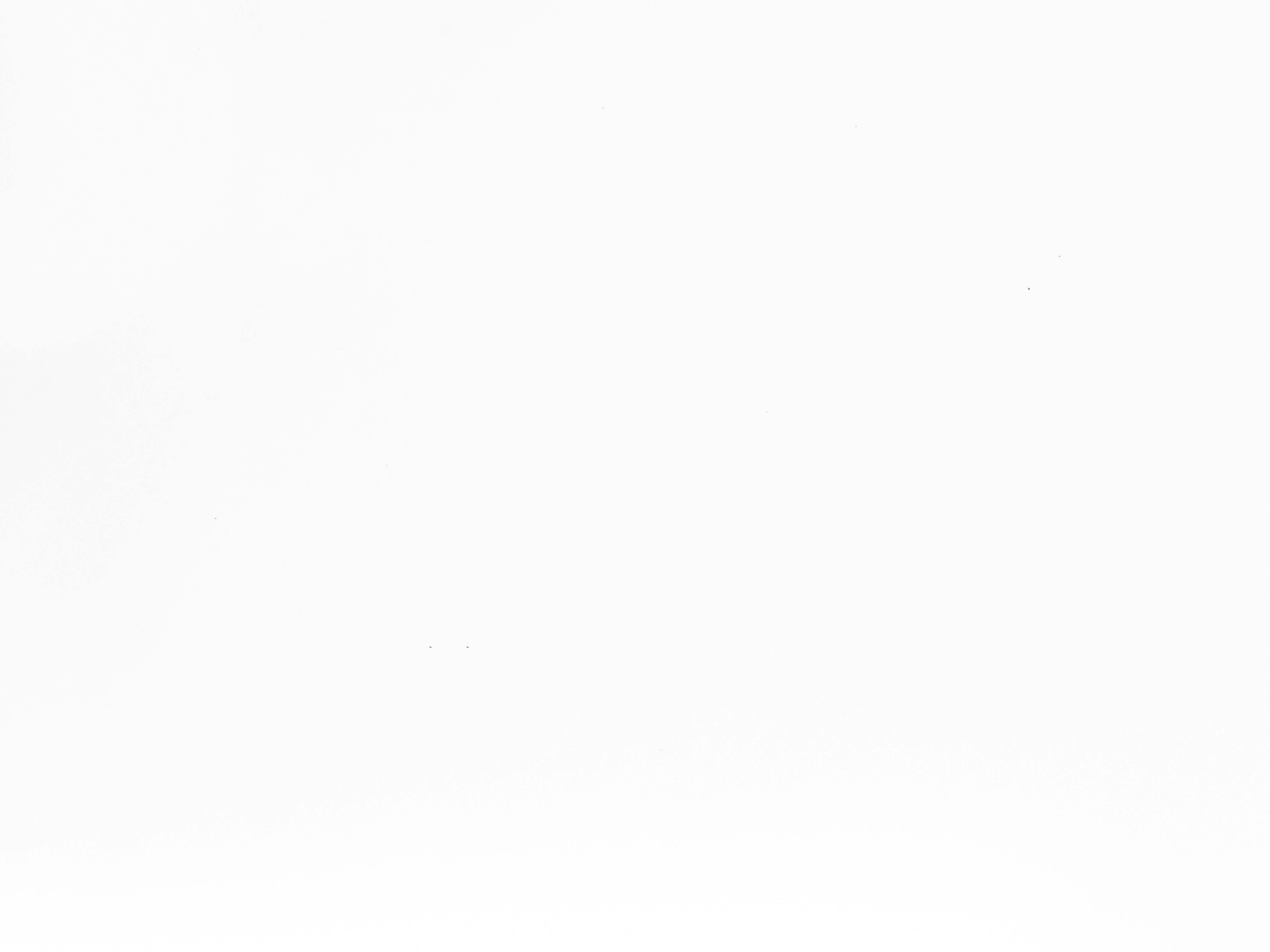 紐西蘭潮州聯誼會